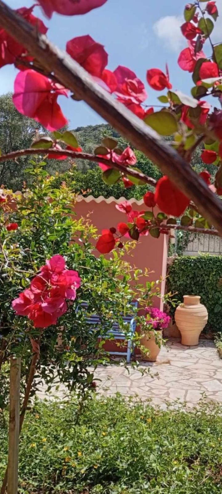 أرغوستولي Julietta Suites المظهر الخارجي الصورة