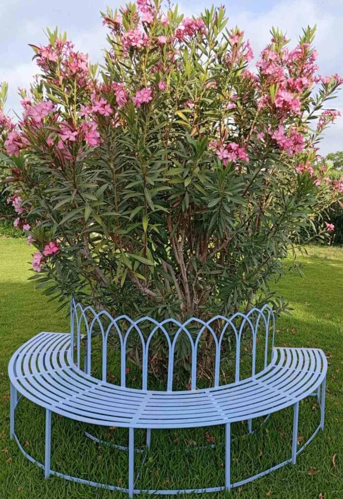 أرغوستولي Julietta Suites المظهر الخارجي الصورة